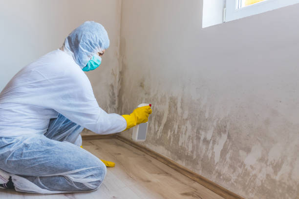 Bathroom Mold Removal assessment in Anoka bathroom